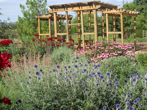 View from the Gardens